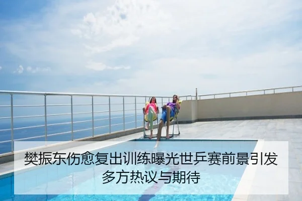 樊振东伤愈复出训练曝光世乒赛前景引发多方热议与期待